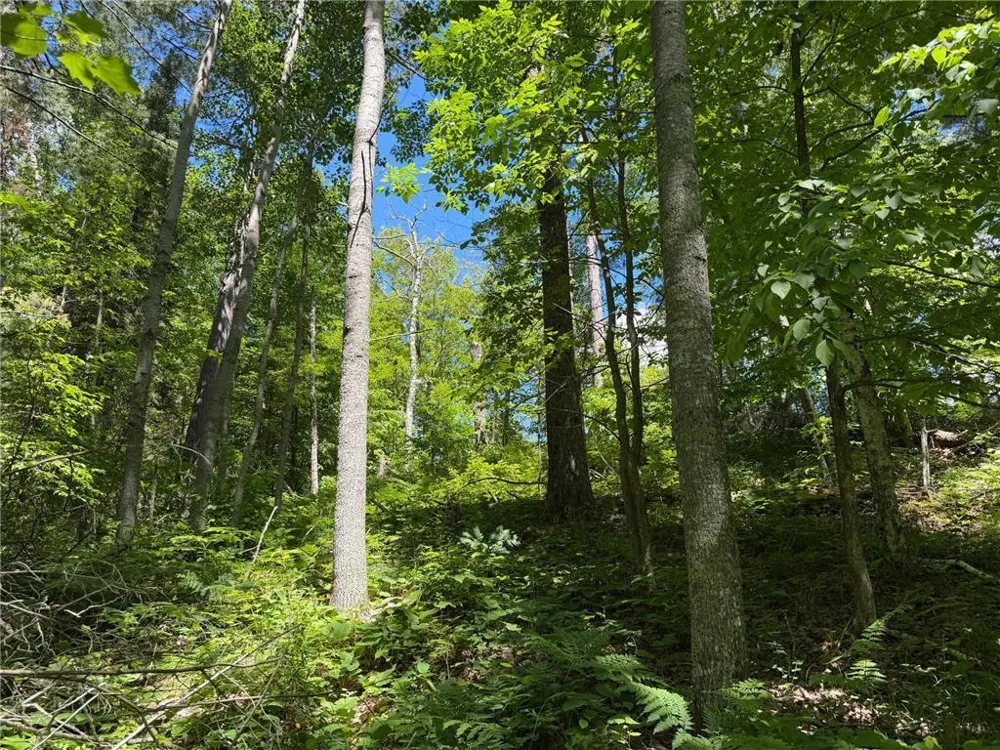 tbd Muskie Bay Road NE Longville, MN 56655