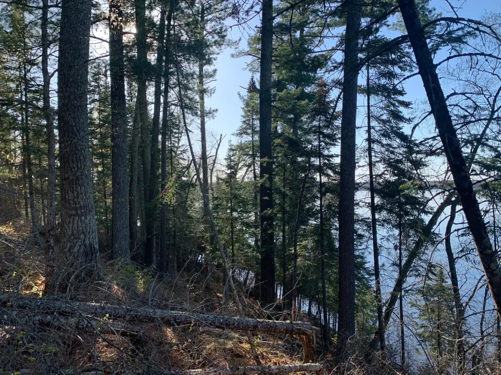 tbd Muskie Bay Road NE Longville, MN 56655