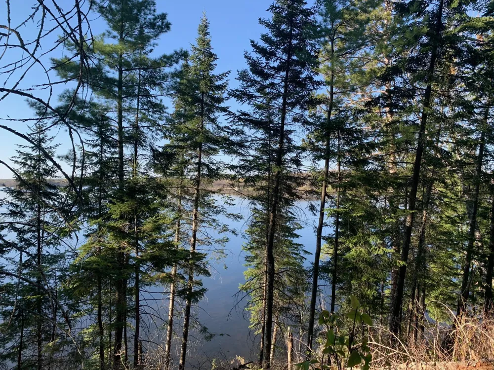 tbd Muskie Bay Road NE Longville, MN 56655