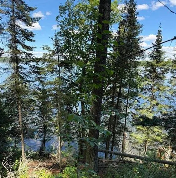 tbd Muskie Bay Road NE Longville, MN 56655