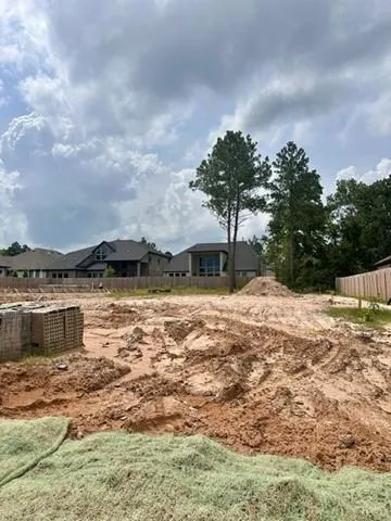 41758 Wendele Way Todd Mission, TX 77316