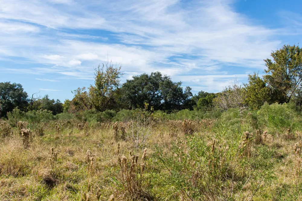 Highway 36      75 Acres Jones Creek, TX 77541