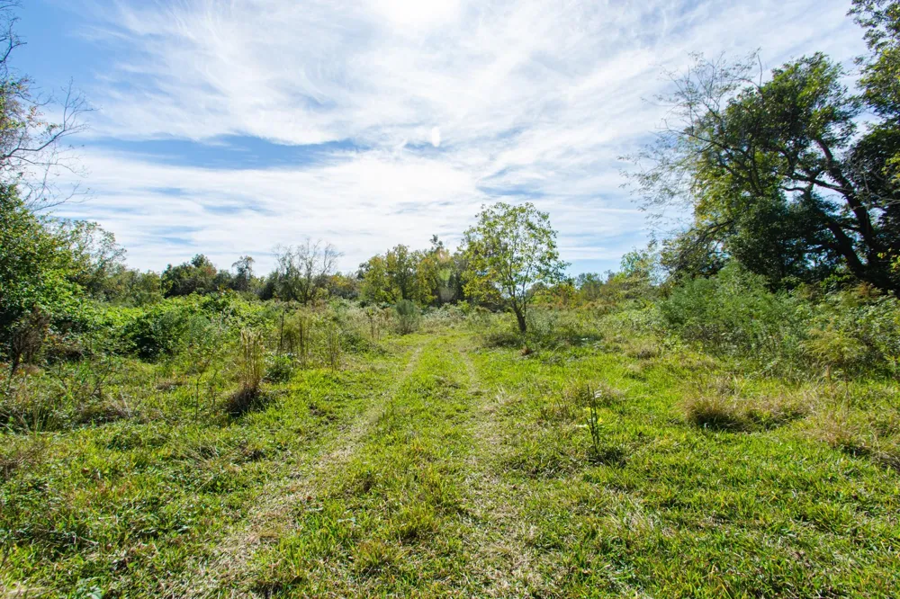 Highway 36      75 Acres Jones Creek, TX 77541
