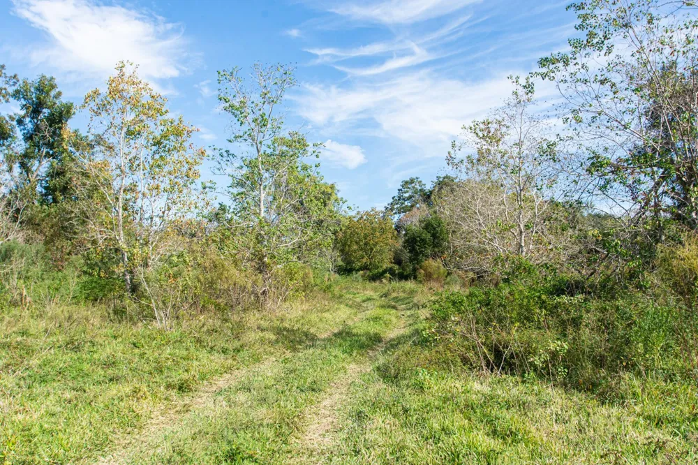 Highway 36      75 Acres Jones Creek, TX 77541