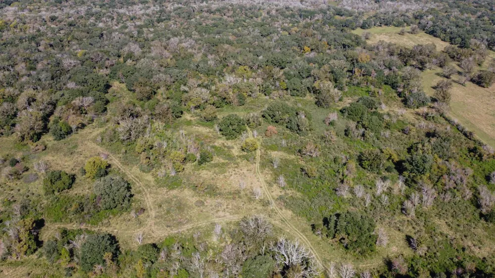 Highway 36      75 Acres Jones Creek, TX 77541