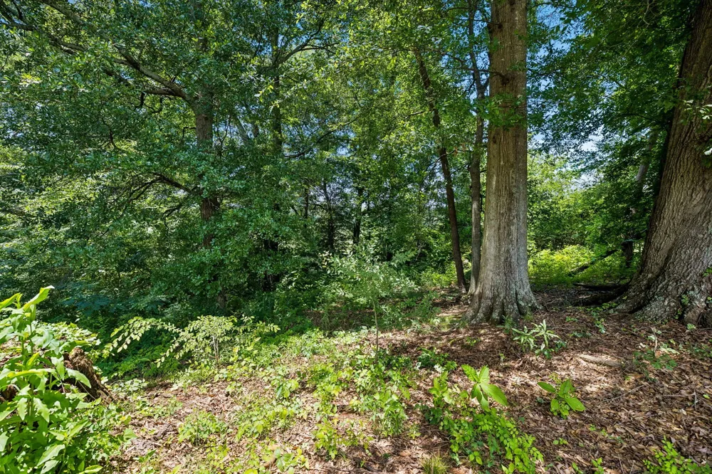 133 Columbus Landing Delano, TN 37325