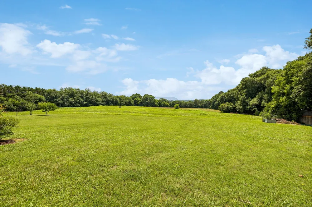 133 Columbus Landing Delano, TN 37325
