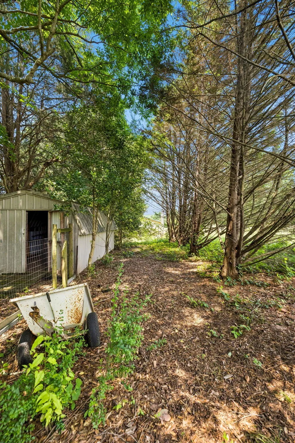 133 Columbus Landing Delano, TN 37325