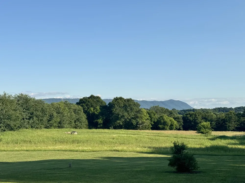 133 Columbus Landing Delano, TN 37325