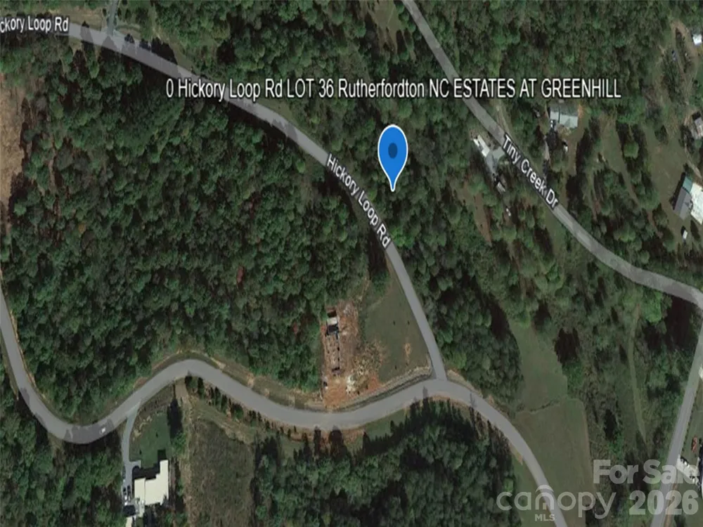 0 Hickory Loop Road #Lot 36 Rutherfordton, NC 28139