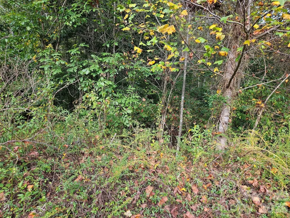 0 Hickory Loop Road #Lot 36 Rutherfordton, NC 28139