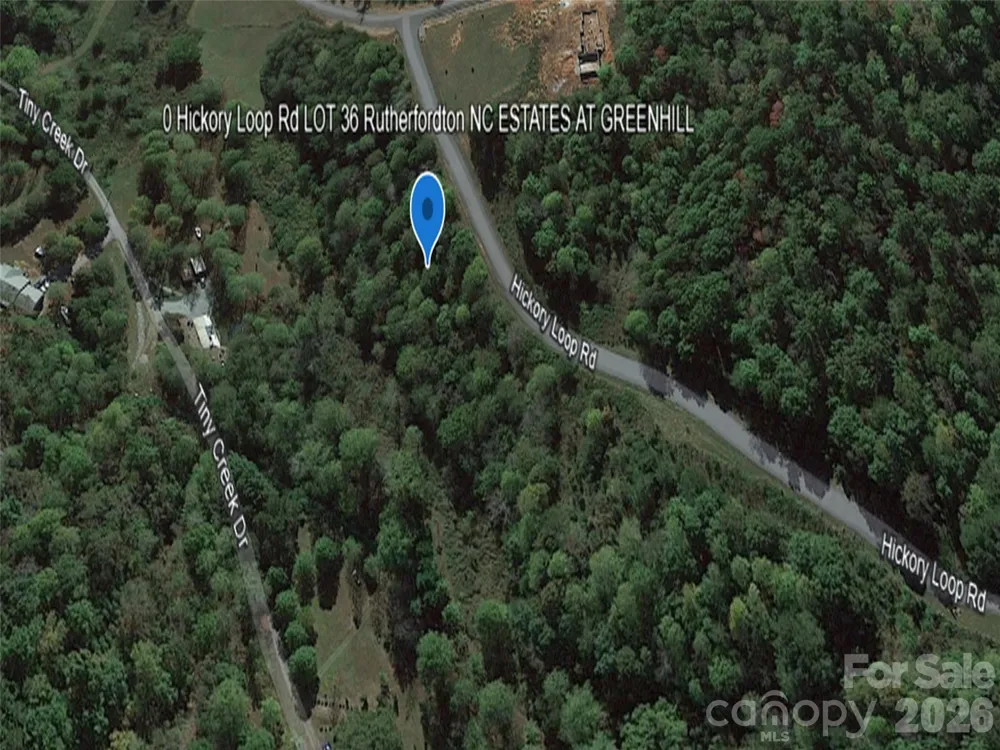 0 Hickory Loop Road #Lot 36 Rutherfordton, NC 28139