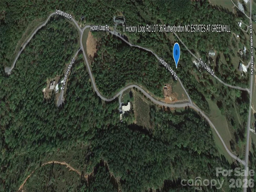 0 Hickory Loop Road #Lot 36 Rutherfordton, NC 28139