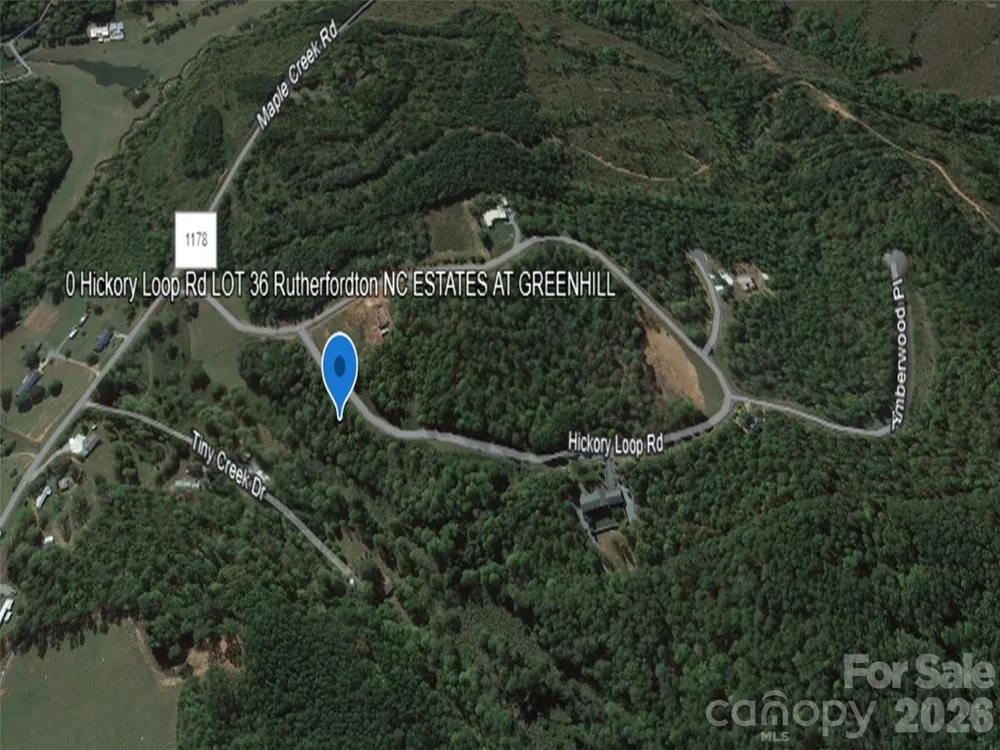 0 Hickory Loop Road #Lot 36 Rutherfordton, NC 28139
