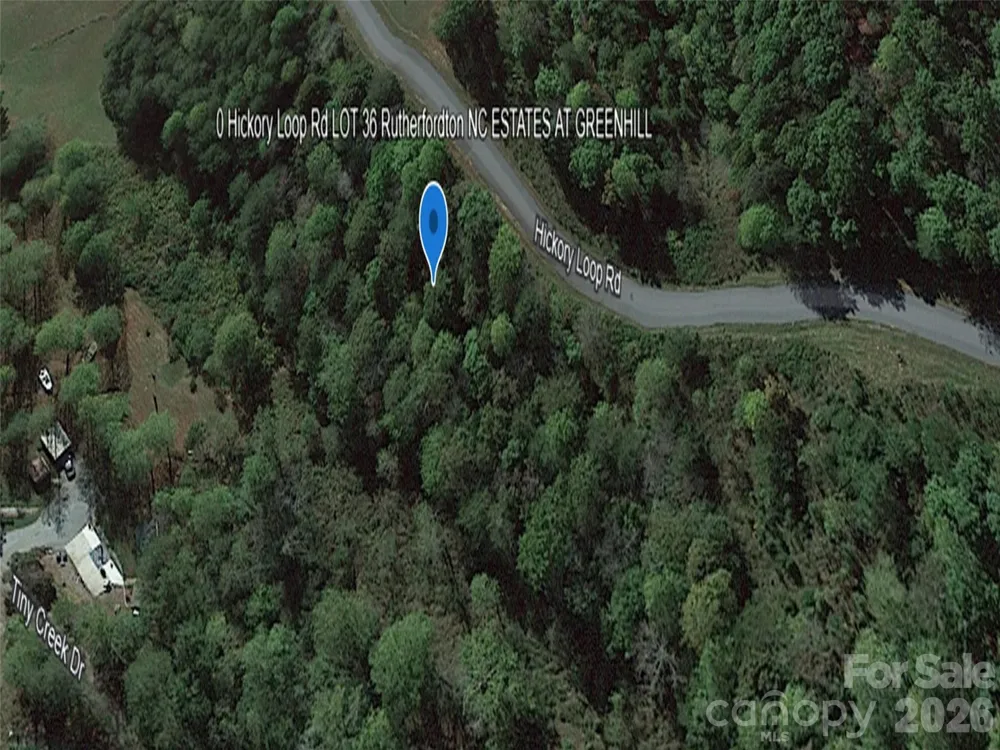 0 Hickory Loop Road #Lot 36 Rutherfordton, NC 28139