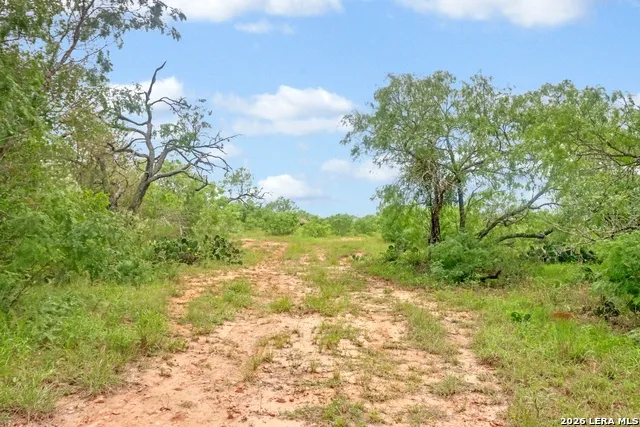 TBD Cross Rd Seguin, TX 78155