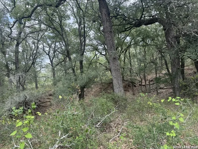TBD Cross Rd Seguin, TX 78155