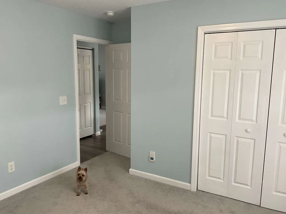 Diamond Ave Franklin, NC 28734