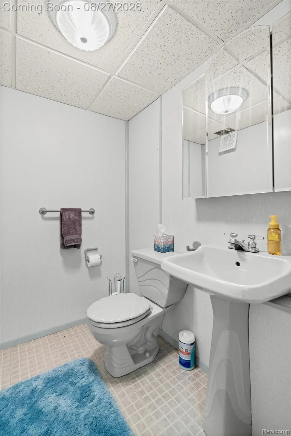 15908 Plymouth Drive #387 Clinton Charter Township, MI 48038