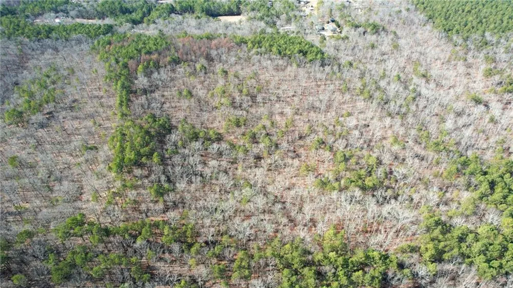 0001 Bozeman Road NW White, GA 30184