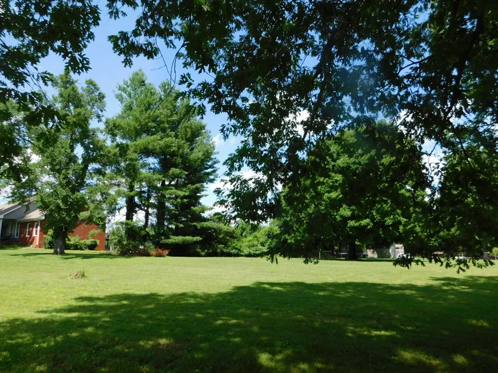 319 Harsh Ln Castalian Springs, TN 37031