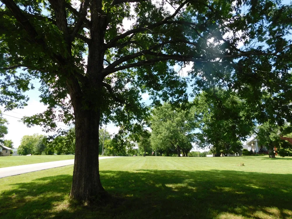 319 Harsh Ln Castalian Springs, TN 37031