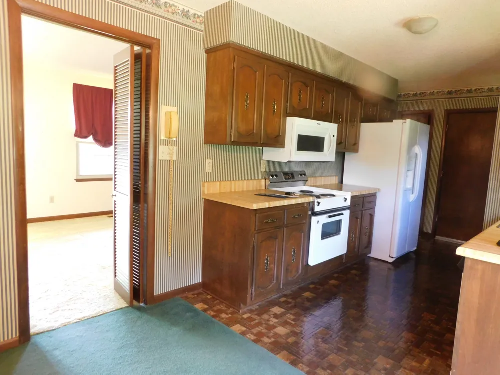 319 Harsh Ln Castalian Springs, TN 37031