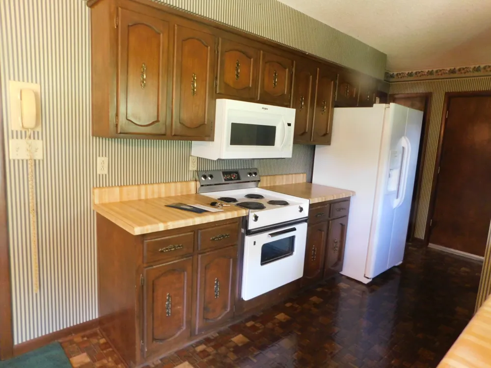 319 Harsh Ln Castalian Springs, TN 37031