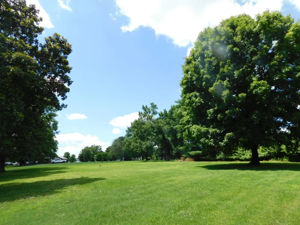 319 Harsh Ln Castalian Springs, TN 37031