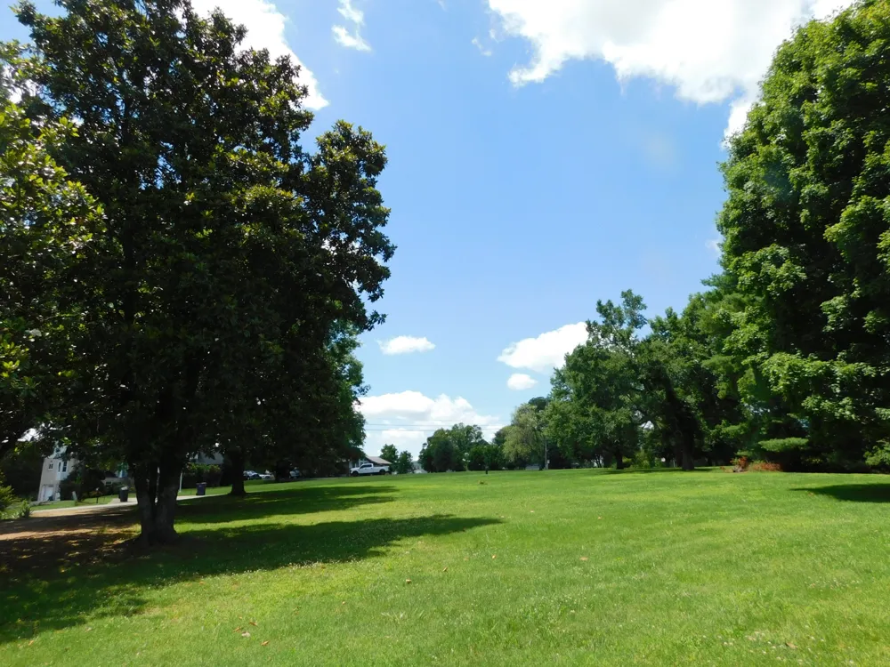 319 Harsh Ln Castalian Springs, TN 37031