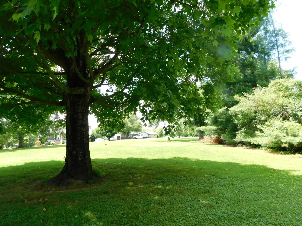 319 Harsh Ln Castalian Springs, TN 37031