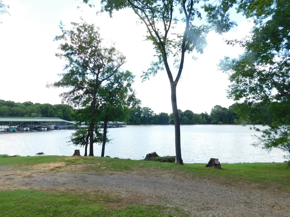 319 Harsh Ln Castalian Springs, TN 37031