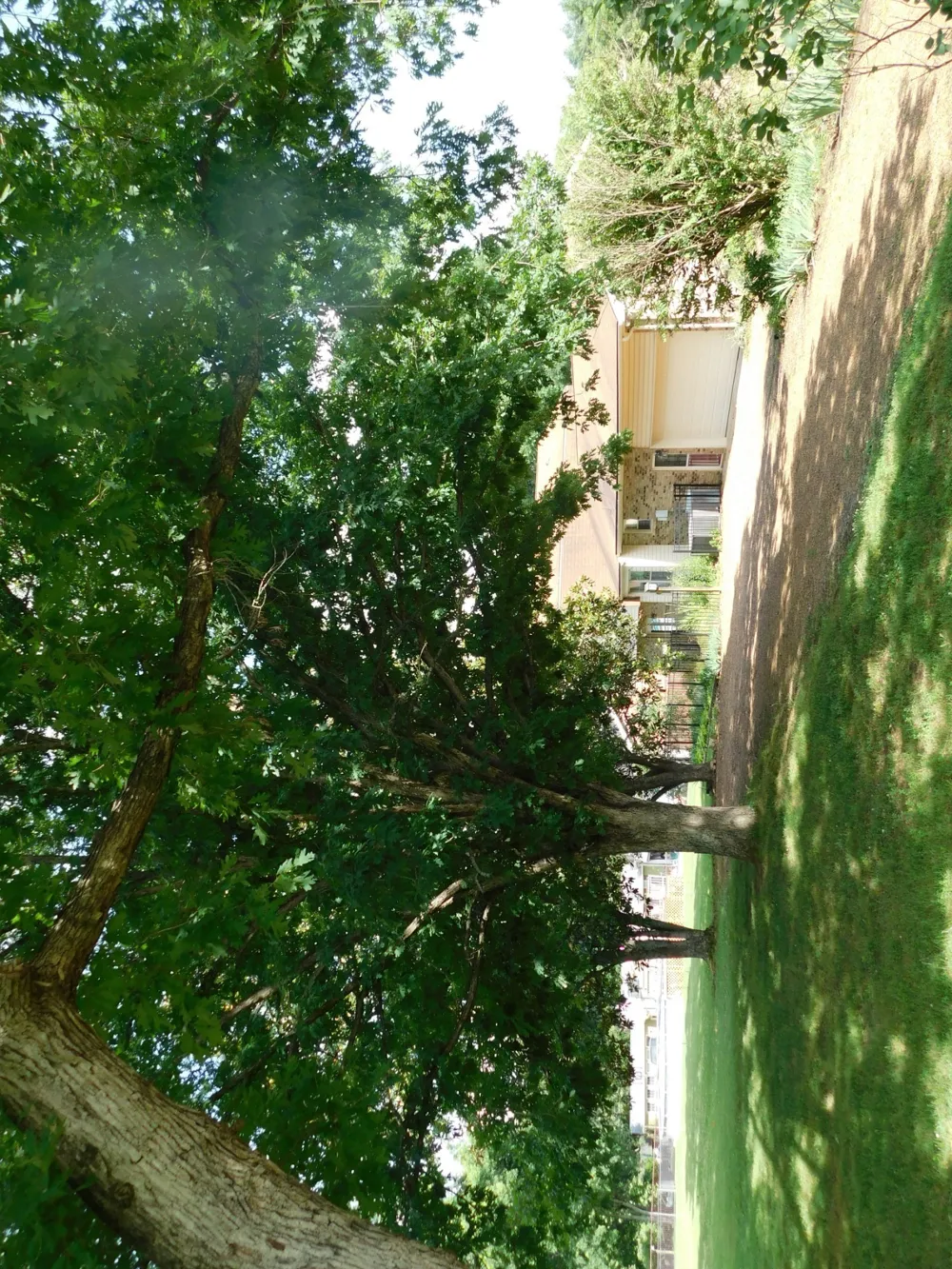 319 Harsh Ln Castalian Springs, TN 37031
