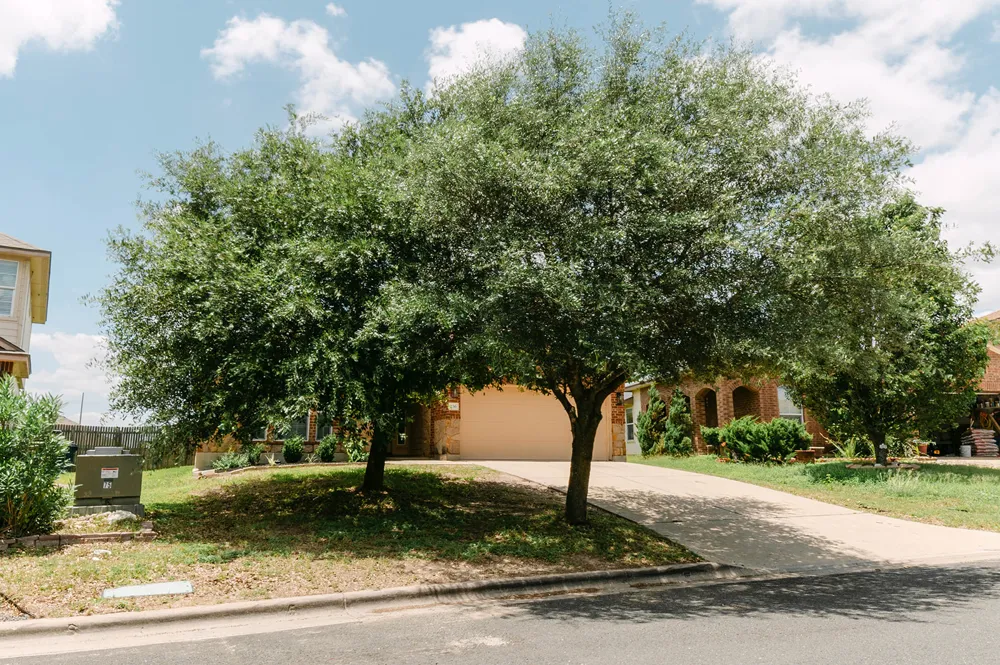 236 Bauxite Drive Jarrell, TX 76537