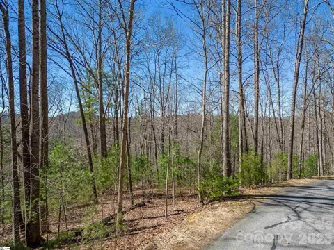 132 Overlook Park Drive #51