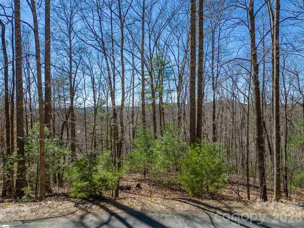 132 Overlook Park Drive #51 Hendersonville, NC 28792