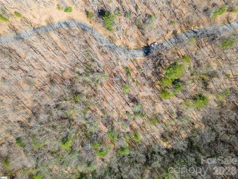 132 Overlook Park Drive #51 Hendersonville, NC 28792