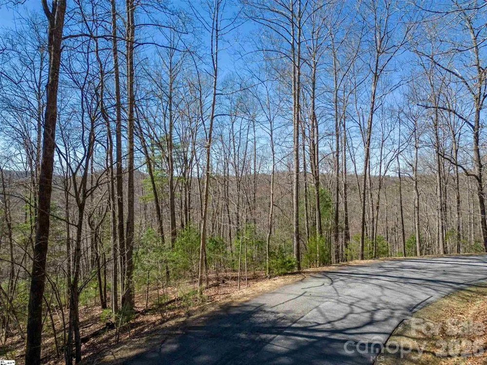 132 Overlook Park Drive #51 Hendersonville, NC 28792