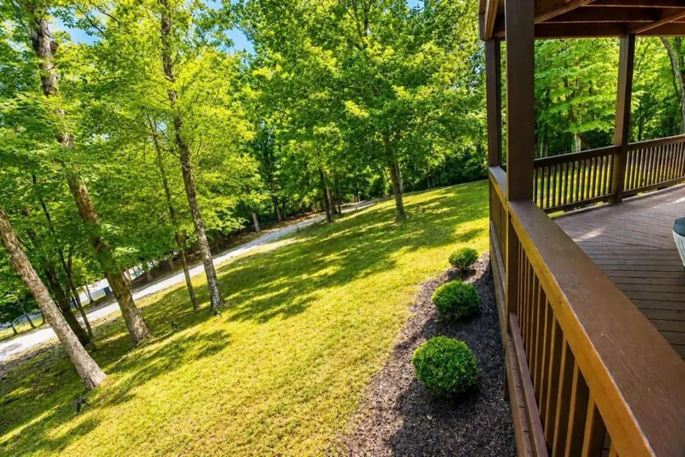 901 Stuart Mountain Road Mineral Bluff, GA 30559
