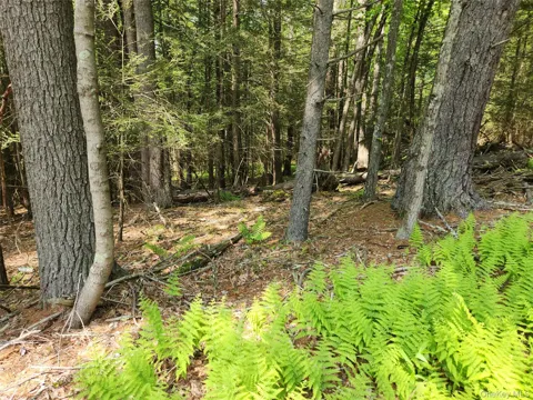 Highland Lake