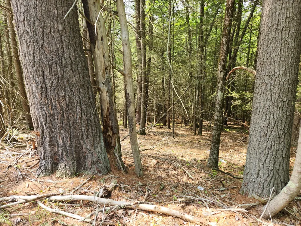 Highland Lake Eldred, NY 12732