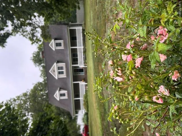 4 Conservation Circus Ridge, NY 11961