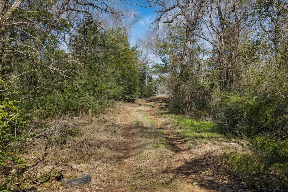 1949 County Road 347 Loop Gause, TX 77857