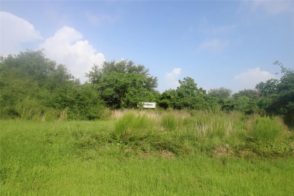 100 Kelly Lane Smith Point, TX 77514