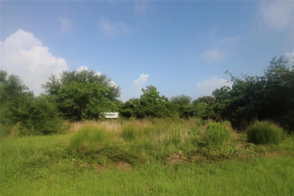 100 Kelly Lane Smith Point, TX 77514