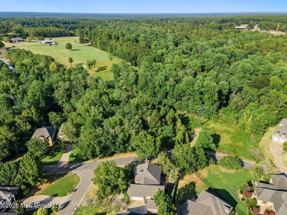 0 Pecan Acres Hattiesburg, MS 39402