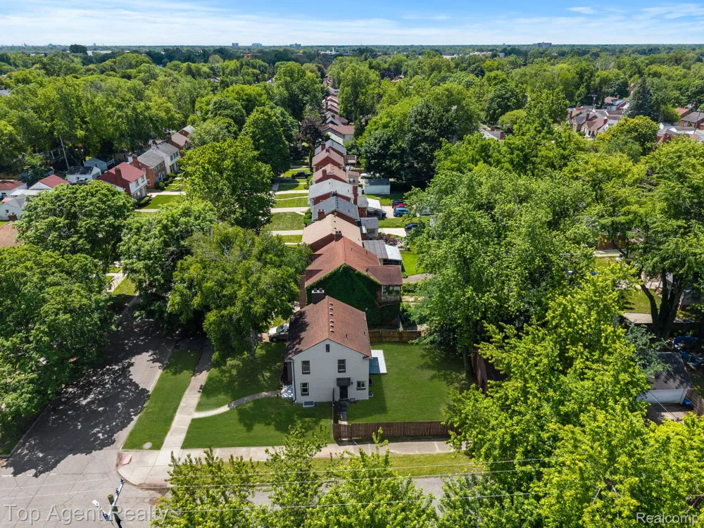 14257 Artesian Street Detroit City, MI 48223