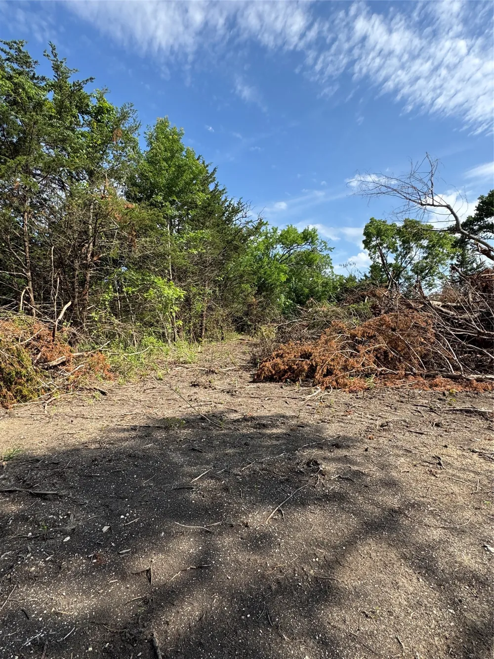 Burke Road Gunter, TX 75058