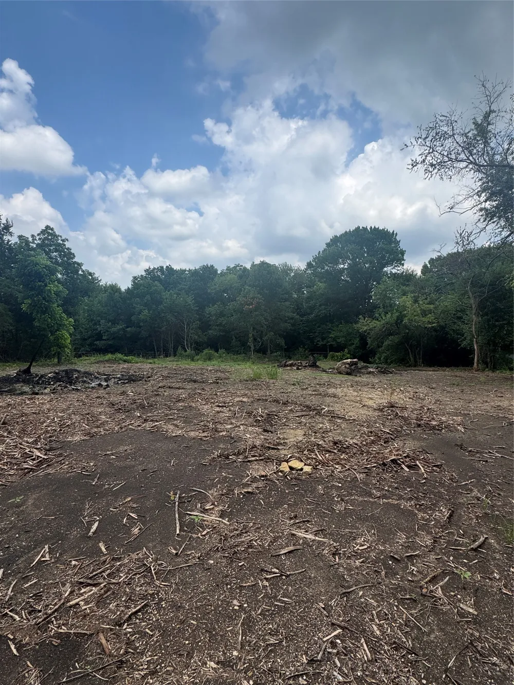 Burke Road Gunter, TX 75058