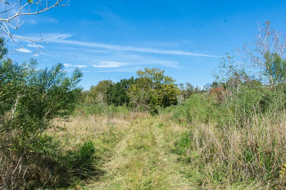 Highway 36 Jones Creek, TX 77541